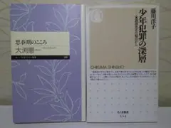 ⭐新書2冊セット⭐思春期のこころ / 少年犯罪の深層