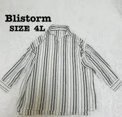 【サイズ4L】ブリストーム ストライプ ハーフジップシャツ チュニック[401]のサムネイル