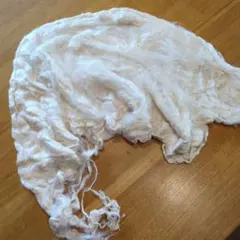 Item thumbnail for item 5319e0d5-a92a-4ebe-aa0e-a554cf90c144