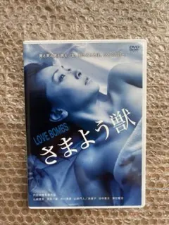 山崎真実　さまよう獣　DVD