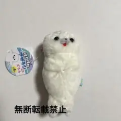 ほわほわアザラシちゃん　ごろん　マスコット　ほわほわちゃん