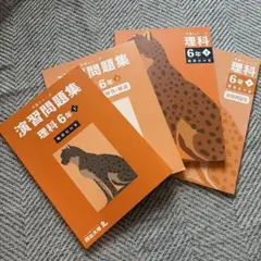 Kana☆様 リクエスト 2点 まとめ商品