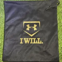 【⭐︎まとめ買い値引き歓迎⭐︎】UNDERARMOUR アンダーアーマー　グラブ袋のサムネイル