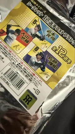 【阪神タイガース】 佐藤輝明 シークレット 12選手 フォトブランケット