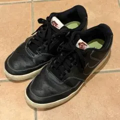 Nike コートビジョン Lo 27cm