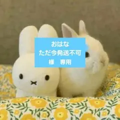 おはな ただ今発送不可様　専用