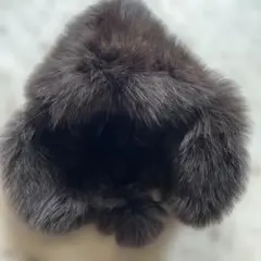 Item thumbnail for item 90450a99-78f2-4448-ab68-6ee13e91dfe8