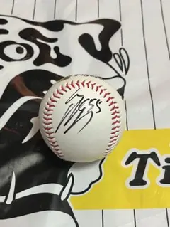 阪神タイガース 能登嵩都 直筆サインボール 沖縄キャンプロゴボール