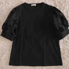 Item thumbnail for item 0d6c92a5-0b2d-4c5b-8fde-2f57d4b3e61a