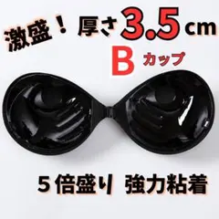 Item thumbnail for item 1d61ac6b-cf7b-4972-8c9e-63508bffe26c