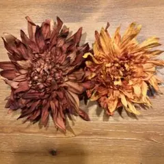 専用★☆セレクトショップ フラワー コサージュ 2点☆★