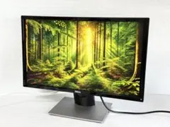 2025年最新】se2416h dellの人気アイテム - メルカリ