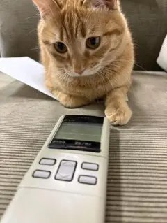 National エアコン用リモコン A75C289 Amazon.co.jp: ナショナル エアコンリモコン A75C289 : ホーム＆キッチン
