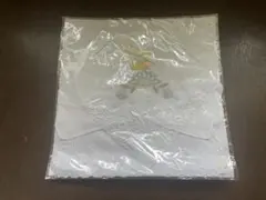 Item thumbnail for item 48c83804-42c4-49da-ad89-a225dc7495c6