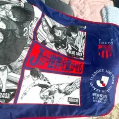 ✩ FC東京 百年構想リーグ開幕戦配布 ブランケット