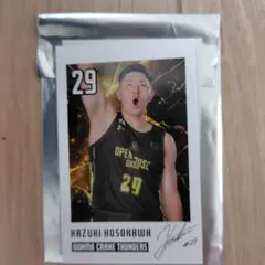 Item thumbnail for item 142b02dc-df7f-4521-80a9-93e856311d31