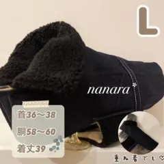 Item thumbnail for item 3e2f1545-f9e9-47cd-8014-db649419a04a