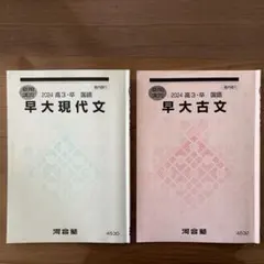 2026年最新】早大現代文 河合塾の人気アイテム - メルカリ