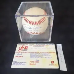 Item thumbnail for item d11786e5-d77b-4096-a44d-93280cc6108a