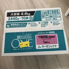 未開梱⭐️TENA PROskin パンツPLUS XL 一箱合計48枚 - メルカリ
