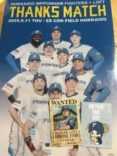 日本ハムファイターズ クリアファイル＆ステッカー2枚伊藤大海