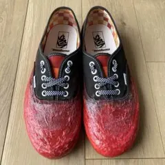 Hand paint USA VANS US10.5 authentic