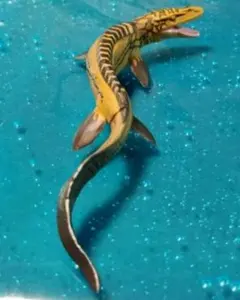 SNCF様 リクエスト 2点 まとめ商品