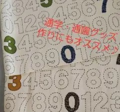 Item thumbnail for item bd96ce76-5d7a-4124-b4e3-e4e57a66490a