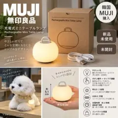 無印良品 MUJI 充電式ミニテーブルランプ 新品未使用 韓国モデル 日本未発売