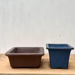 植木鉢 陶器 盆栽鉢 角 サボテン 塊根 多肉植物 朱泥鉢