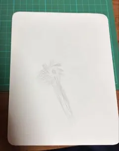 コ*ネ様 ガーベラ原種 白八重一株 赤八重一株セット - メルカリ