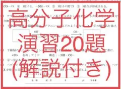 【即日発送！】高分子化学(アミノ酸、糖類、合成高分子)演習プリント(解説付)
