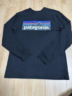 patagonia 長袖カットソー Sサイズ　パタゴニア メンズ・ロングスリーブ