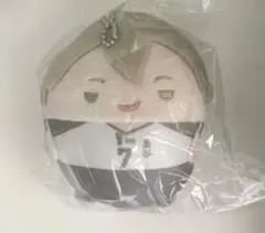 さ*み様 ハイキュー!! アニメイト くじメイト ぬいくじ ふわコロりん D賞