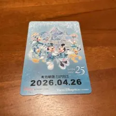 ディズニーリゾートライン　フリーきっぷ　ディズニーシー25周年デザインのサムネイル