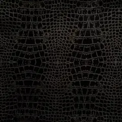 ⋆✦クロコダイル柄⋆✦BLACK系⋆✦カッコイイ⋆✦生地幅×50cmぐらい