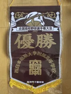全国高校野球選手権 第74回1992年優勝西日本短期大学付属