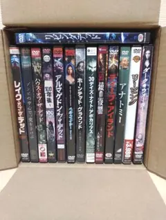 B級映画 DVD まとめ売り B級映画 DVD まとめ売り