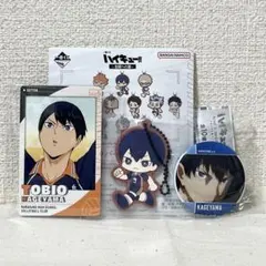 ハイキュー‼︎ 影山飛雄 スナップマイド メモリアル缶バッジ ラバスト