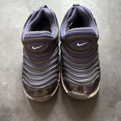 NIKE ナイキ ダイナモフリー　21cm