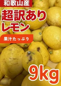 超訳あり 和歌山県産 レモン 40kg サイズ混合 れもん 檸檬 みかん ありだ 超訳あり 和歌山 レモン 4kg サイズ混合 檸檬 れもん みかん 1 - メルカリ