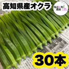 【高知県産オクラ】A品&B品　30本　新鮮おくら産地直送　野菜　Tttのサムネイル