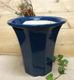 未使用/特価❕信楽焼/くすみ青/植木鉢/１点　　　　　蘭鉢/盆栽鉢/深鉢