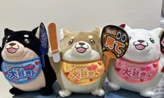 Item thumbnail for item 1f6efac4-a5a8-407a-99c4-b3244dc71f83