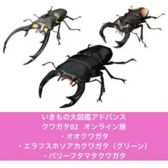 いきもの大図鑑アドバンス　クワガタ02　３種　オンライン版未開封