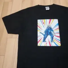 美品 ゴジラxコング 新たなる帝国 アート Tシャツ Lサイズ