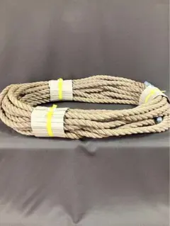 Item thumbnail for item 6bda8260-5223-456c-8fc8-b217d918530f