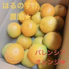❼【♡収穫したて♡秀優混合♡数量限定】バレンシアオレンジ 5kg サイズ色々♡のサムネイル