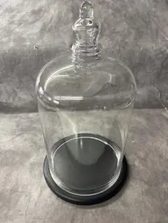 Floyd フロイド ガラスドーム　高さ41cm