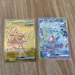 ♦テラパゴスex SAR ♦ウネルミナモex　UR　 テラスタルフェスex